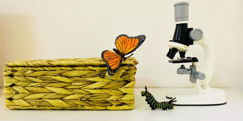 WhatsApp Image 2024-07-19 at 3.48.57 PM